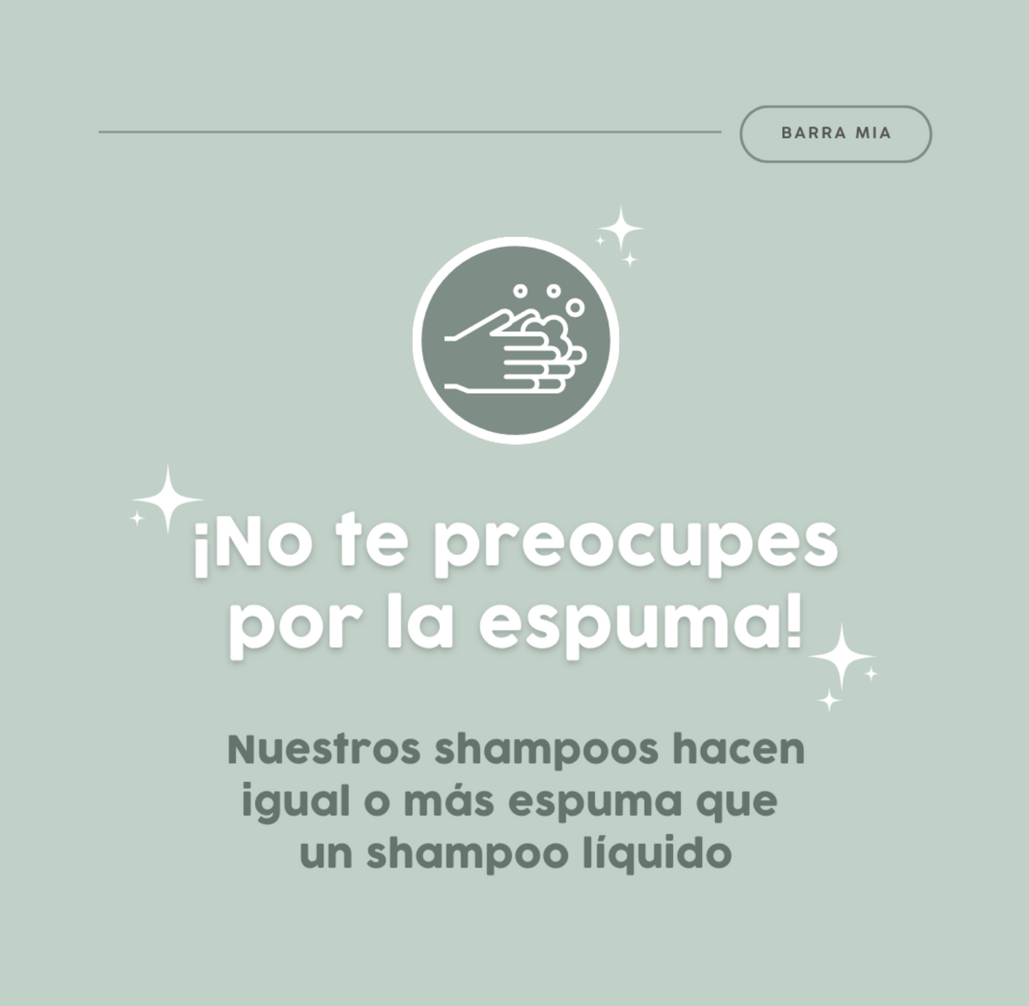 Shampoo rizos definidos